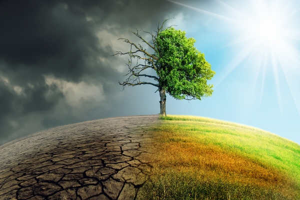 Read more about the article A series of Workshops by the Disaster Resilience Innovation Cluster – Defkalion (DRIC Defkalion)